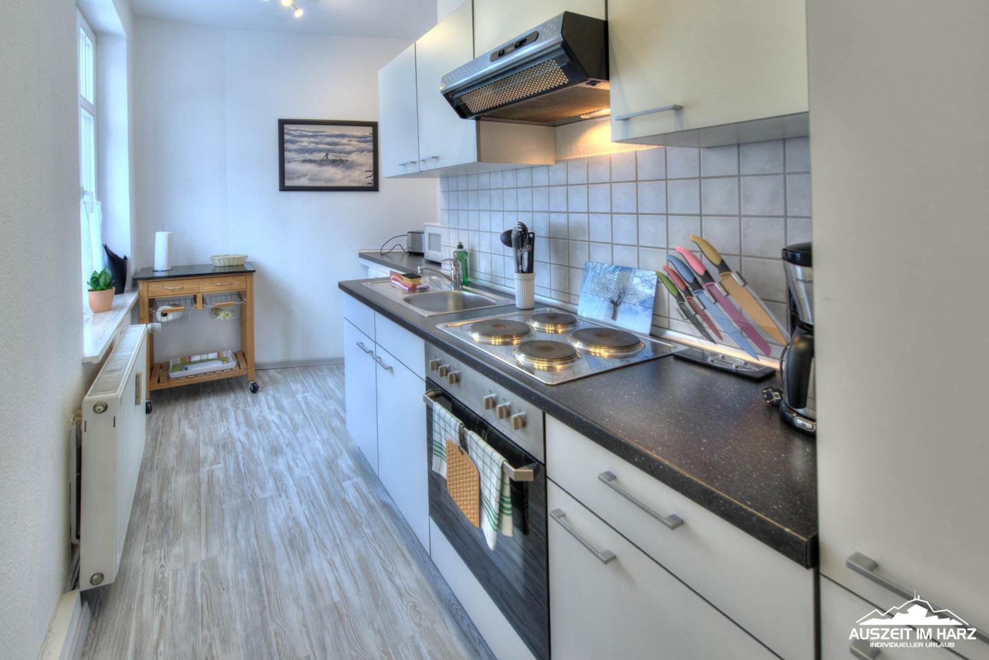 Auszeit Im Harz Haus 1 Wohnung Feuerstein Schierke Exterior foto